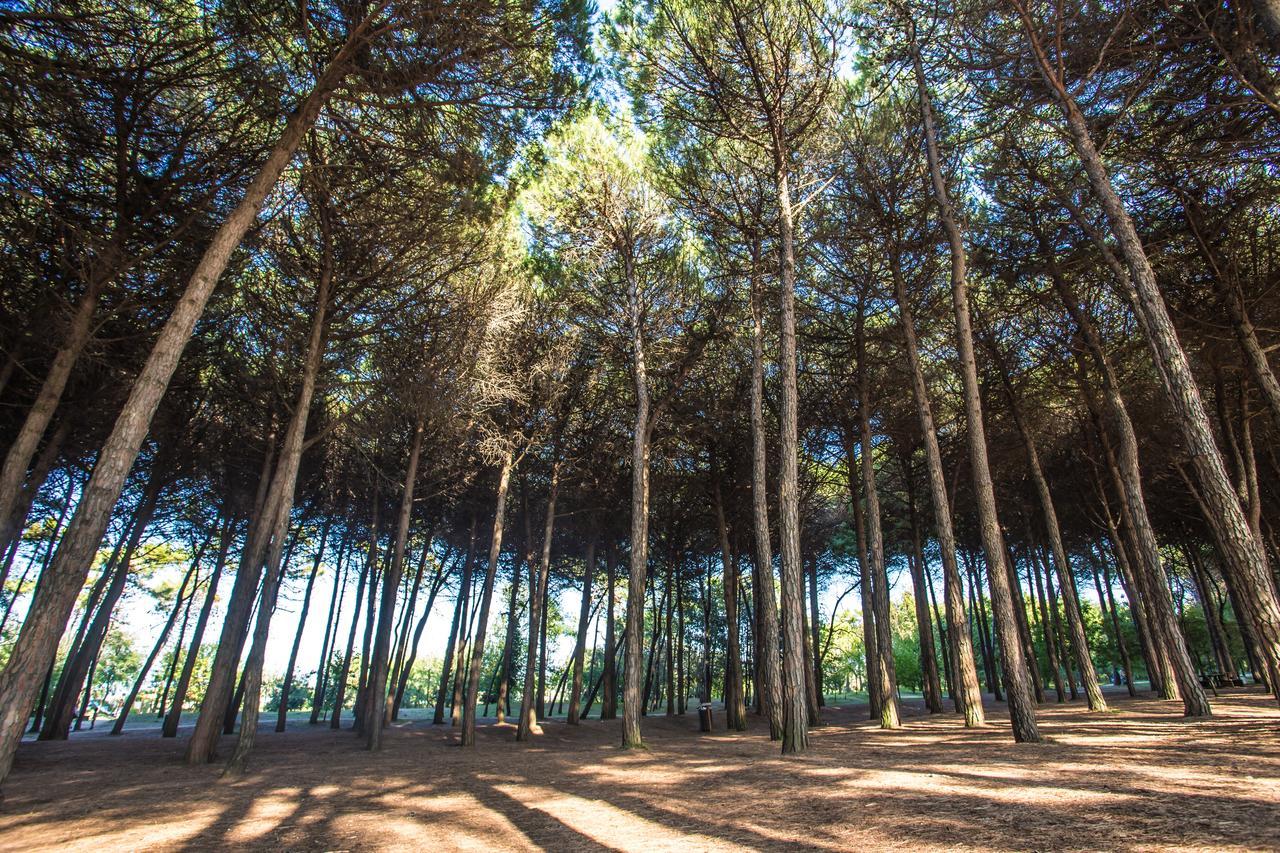 Hotel Garden Milano Marittima Exterior photo